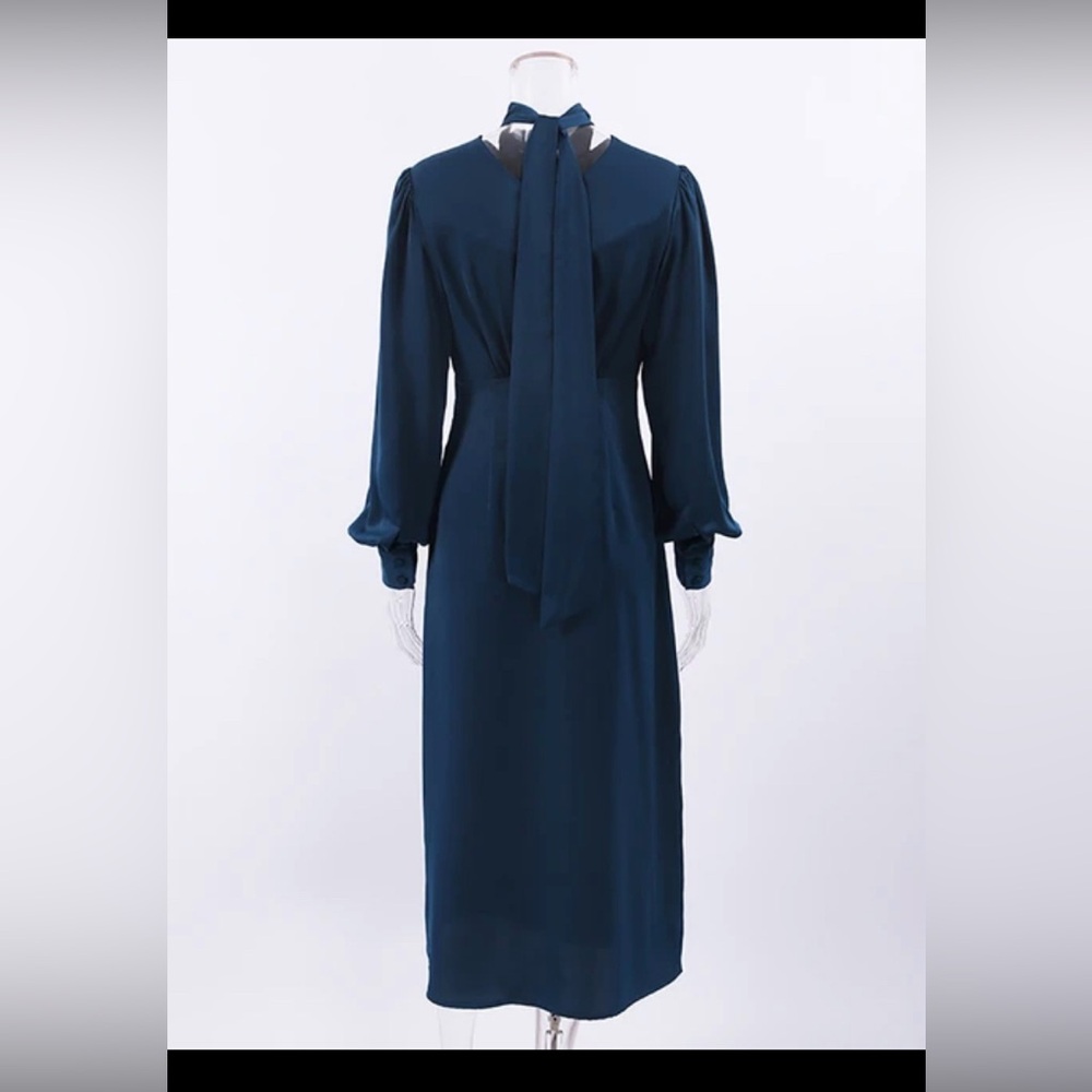 Dress - Picture 4 of 5